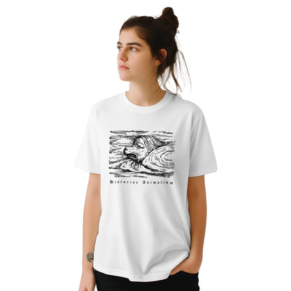 0b51f255-9d72-4459-b4e8-46370f56dcc5