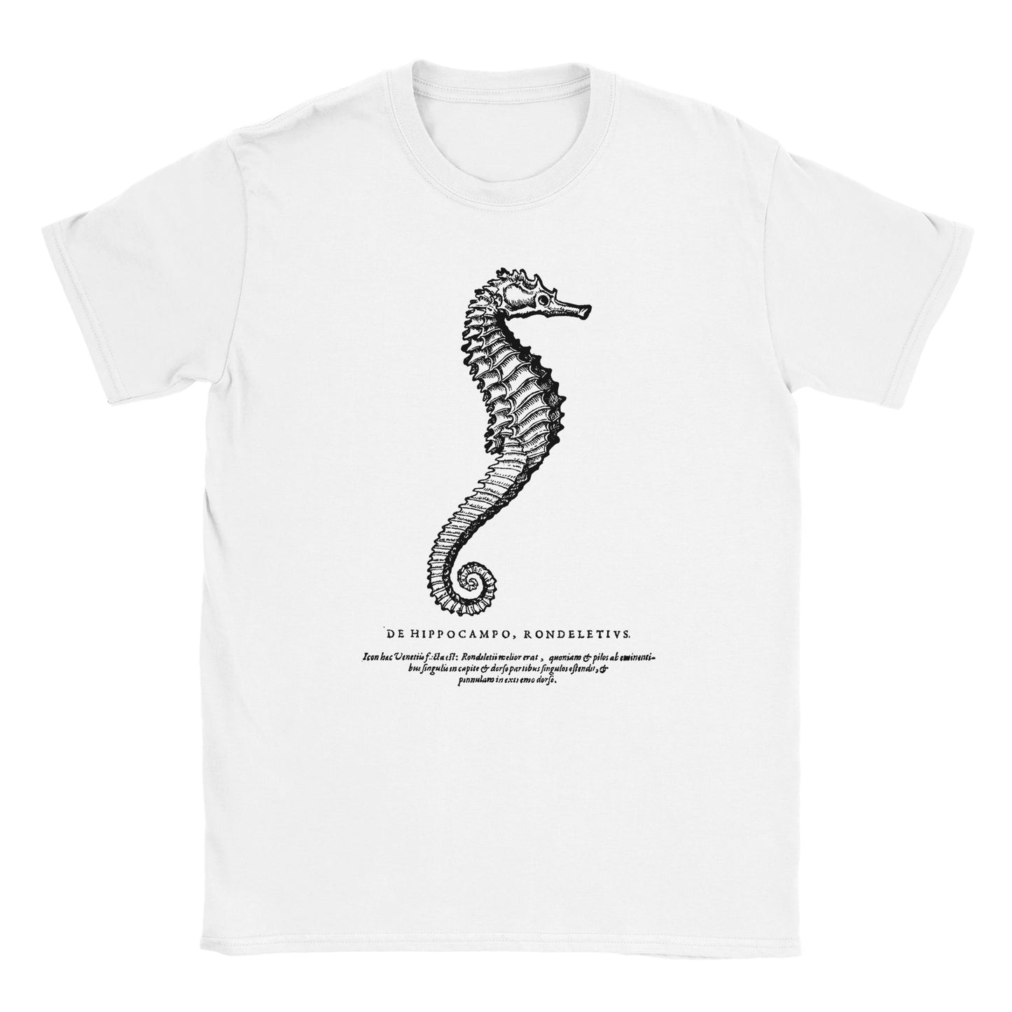 171ca76e-b9d8-4f9e-ba86-04fa6aefb881