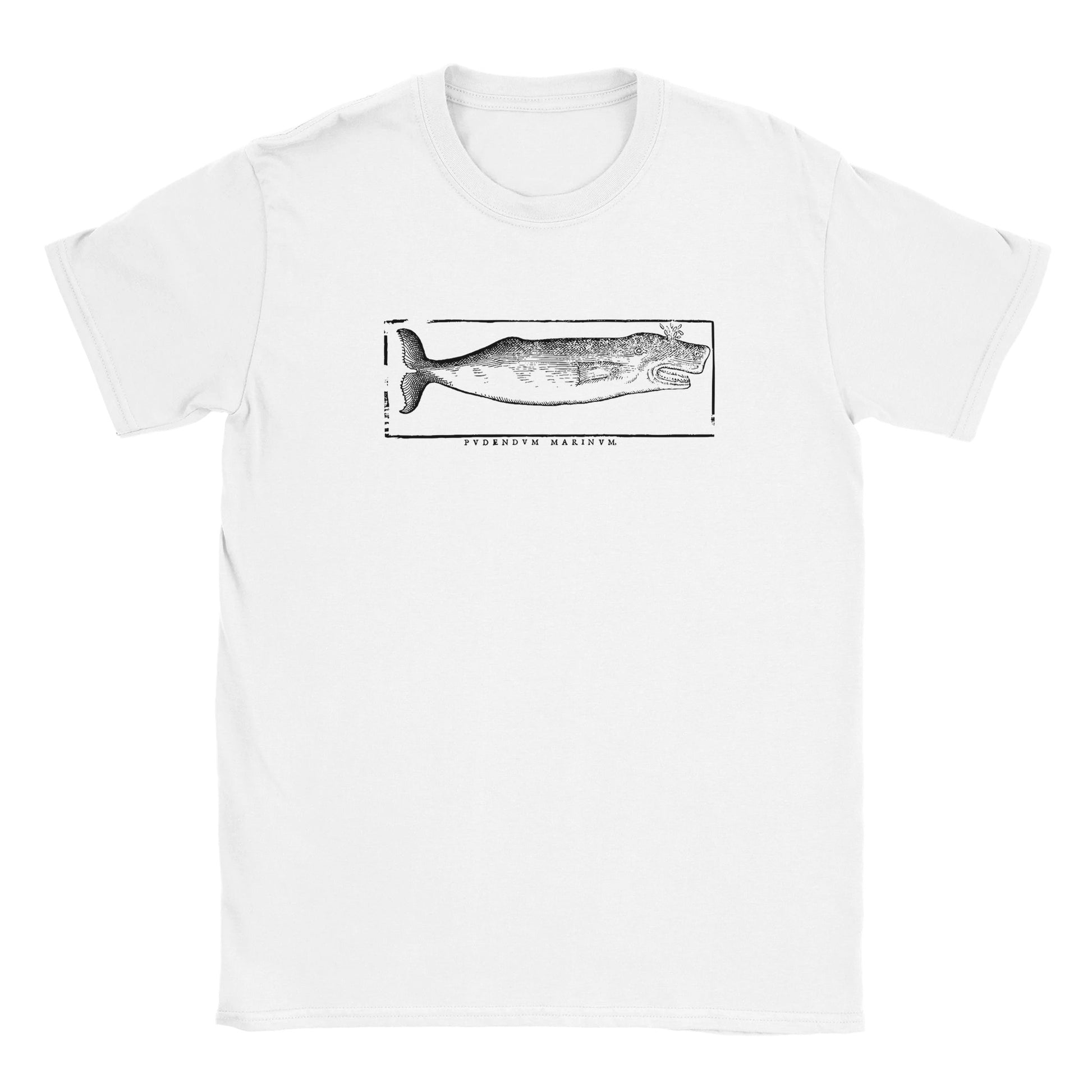 6e9cd674-c984-448c-bd20-2ba6bc09be63