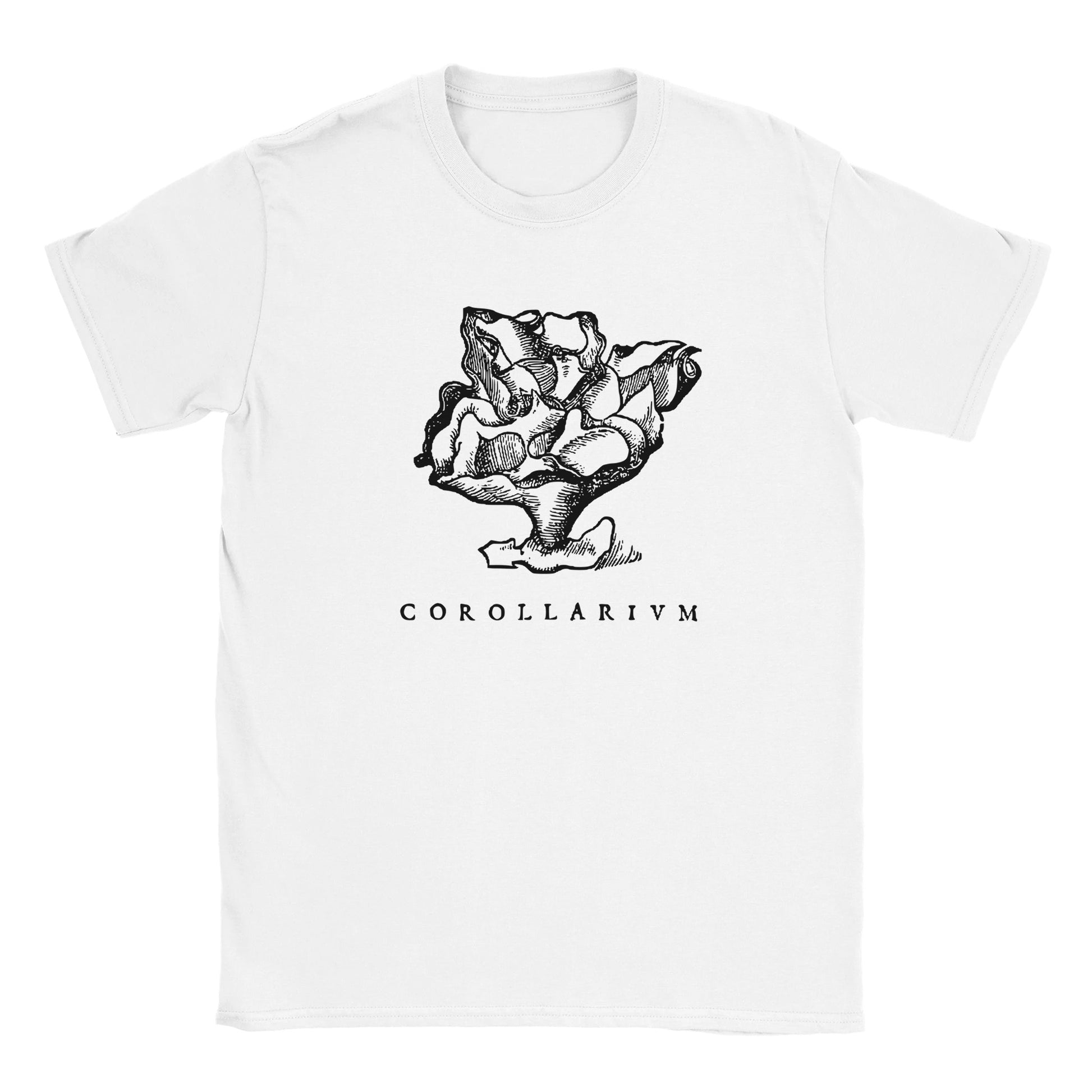 8a7b6a47-fac4-4fe6-8618-7f5efb915970