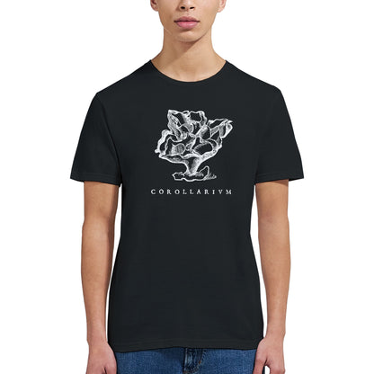 ae1557bf-6b6b-4852-8516-f6ad8b4f1e12