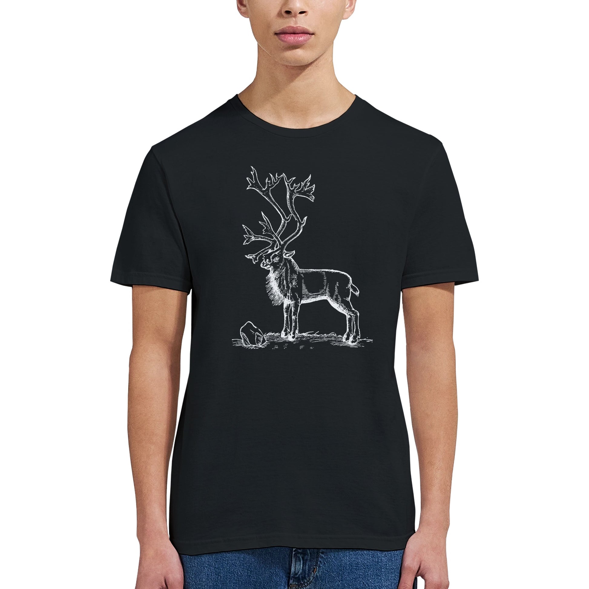 ef7724dd-14d8-4f42-afef-91cd39441e03